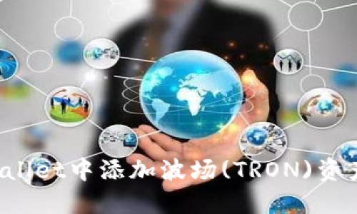 如何在TP Wallet中添加波场(TRON)资产一步步详解