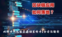 比特币钱包能否存储莱特币？全方位解析