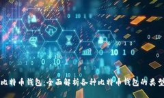 如何区别比特币钱包：全面解析各种比特币钱包