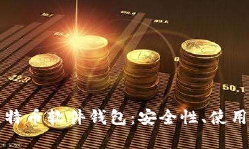 全面解析比特币软件钱包：安全性、使用方法与推荐
