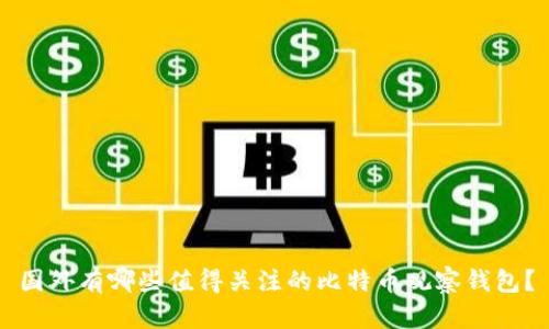 国外有哪些值得关注的比特币观察钱包？
