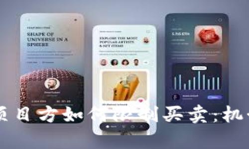 TPWallet币项目方如何限制买卖：机制与影响分析