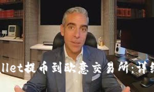 怎样从TPWallet提币到欧意交易所：详细步骤与指南