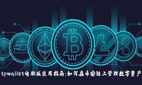 tpwallet电脑版使用指南：如何在币安链上管理数字资产