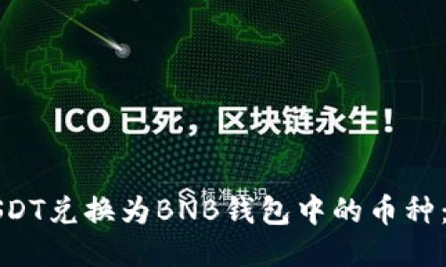 如何将USDT兑换为BNB钱包中的币种：详细指南