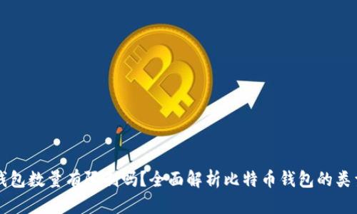 比特币钱包数量有限制吗？全面解析比特币钱包的类型与使用