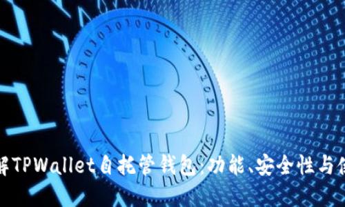 深入了解TPWallet自托管钱包：功能、安全性与使用体验