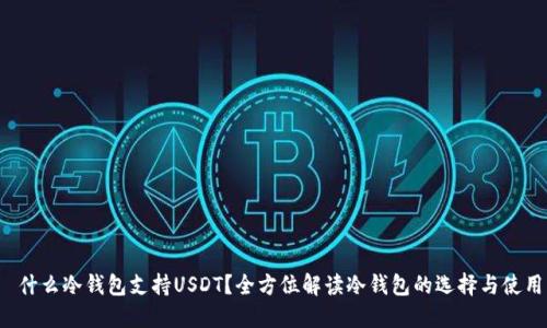  什么冷钱包支持USDT？全方位解读冷钱包的选择与使用