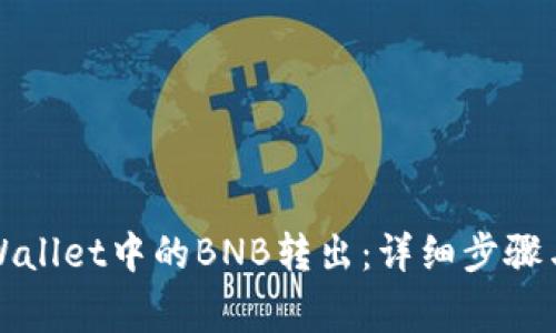 如何将TPWallet中的BNB转出：详细步骤与注意事项