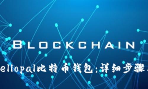 如何开启Hellopal比特币钱包：详细步骤与注意事项