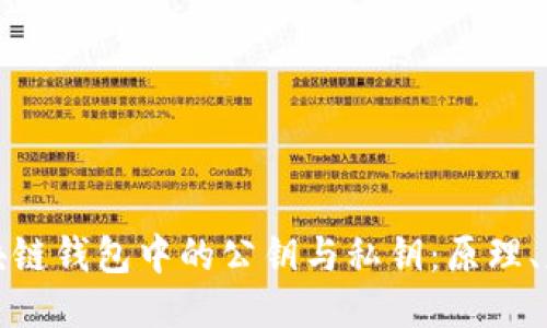 深入探讨区块链钱包中的公钥与私钥：原理、应用与安全性