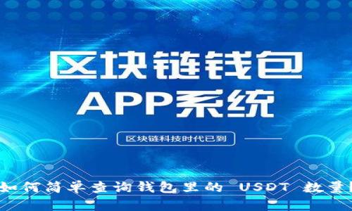 如何简单查询钱包里的 USDT 数量？