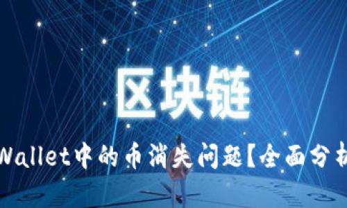 如何解决TPWallet中的币消失问题？全面分析及解决方案