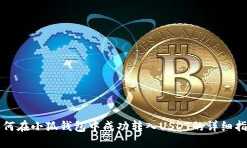 如何在小狐钱包中成功转入USDT的详细指南