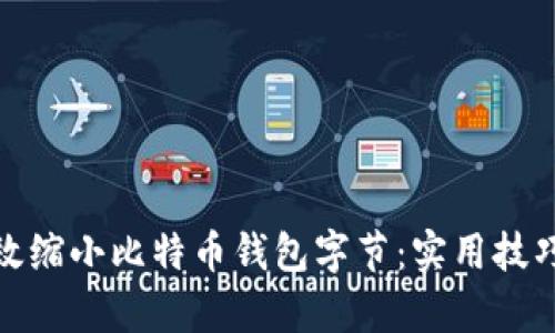 如何有效缩小比特币钱包字节：实用技巧与策略