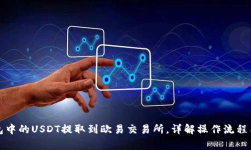 如何将钱包中的USDT提取到欧易交易所，详解操作流程与注意事项