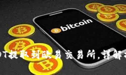 如何将钱包中的USDT提取到欧易交易所，详解操作流程与注意事项