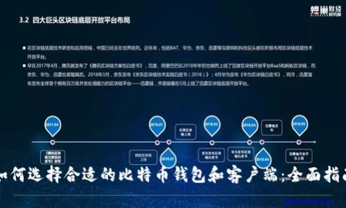 如何选择合适的比特币钱包和客户端：全面指南