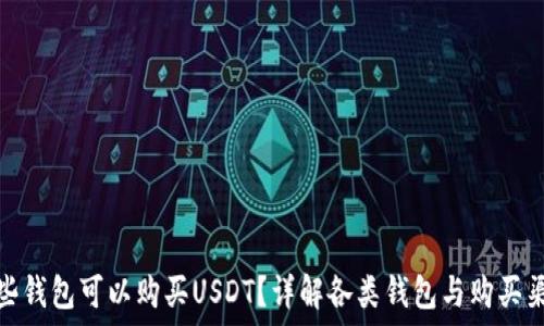   
哪些钱包可以购买USDT？详解各类钱包与购买渠道