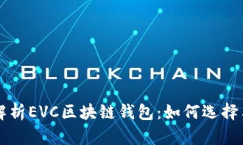 全面解析EVC区块链钱包：如何选择与使用