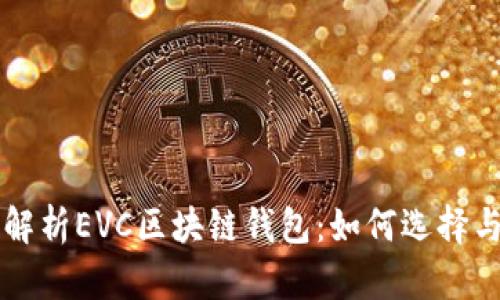 全面解析EVC区块链钱包：如何选择与使用