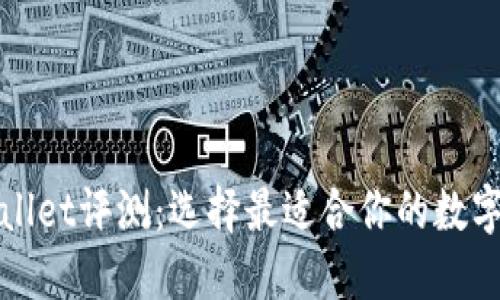 TPWallet评测：选择最适合你的数字钱包