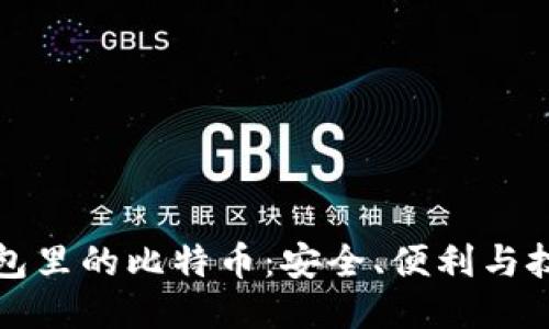 如何监控冷钱包里的比特币：安全、便利与技术的综合探索