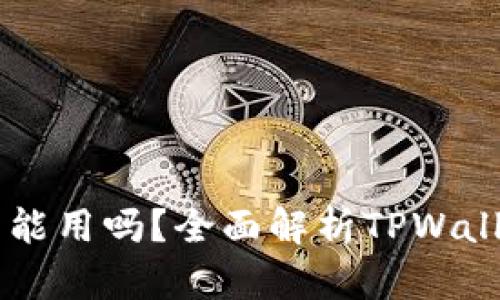 TPWallet没网能用吗？全面解析TPWallet的离线功能