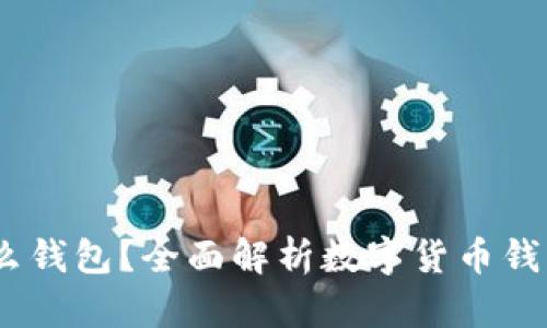 USDT买的币放什么钱包？全面解析数字货币钱包选择与使用指南