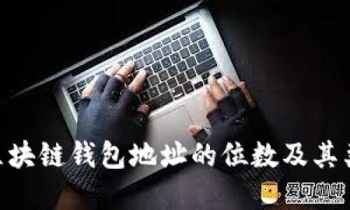 riaoti区块链钱包地址的位数及其类型详解