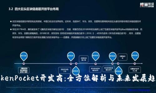 TokenPocket开发商：全方位解析与未来发展趋势