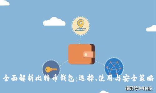 全面解析比特币钱包：选择、使用与安全策略