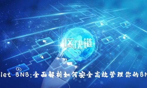 TPWallet BNB：全面解析如何安全高效管理你的BNB资产