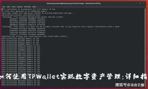 i如何使用TPWallet实现数字资产管理:详细指南
