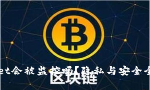 TPWallet会被监控吗？隐私与安全全面解析