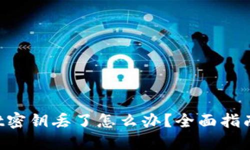 TokenPocket密钥丢了怎么办？全面指南及解决方案