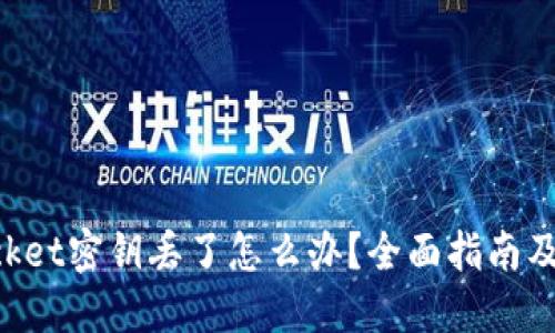 TokenPocket密钥丢了怎么办？全面指南及解决方案