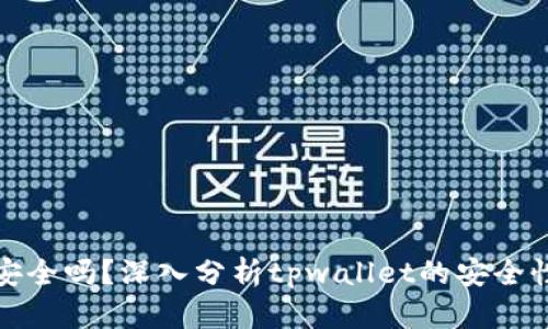 tpwallet安全吗？深入分析tpwallet的安全性与可靠性