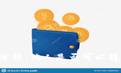 TPWallet安全性分析：他人是否可以转走钱包中的资金？