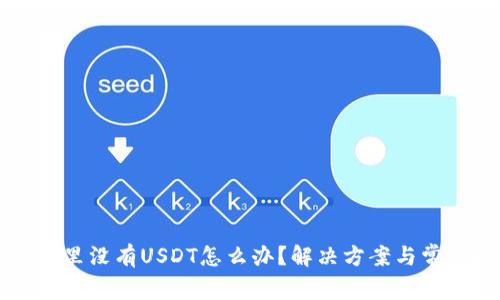 以太坊钱包里没有USDT怎么办？解决方案与常见问题解析