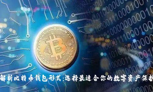 全面解析比特币钱包形式：选择最适合你的数字资产保护方式