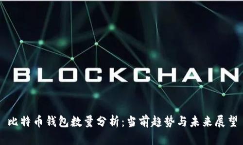 比特币钱包数量分析：当前趋势与未来展望