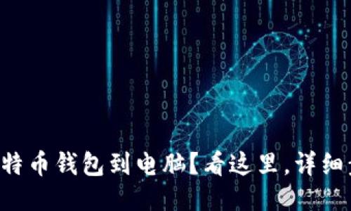 想要下载比特币钱包到电脑？看这里，详细步骤大揭秘！