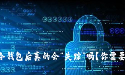 虚拟币转到冷钱包后真的会“失踪”吗？你需要知道的真相！