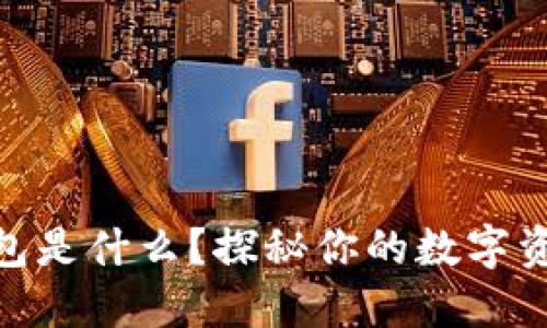 USDT账户钱包是什么？探秘你的数字资产管理助手！