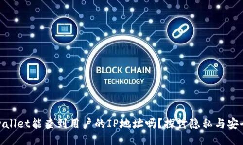 tpwallet能查到用户的IP地址吗？探讨隐私与安全性
