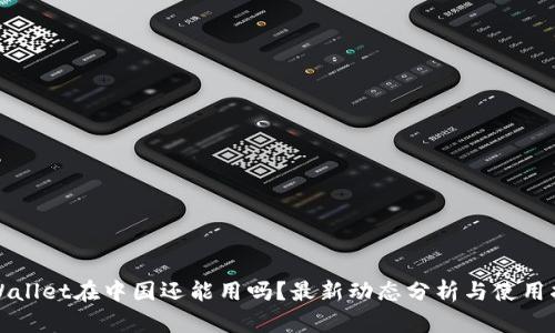 TPWallet在中国还能用吗？最新动态分析与使用指南