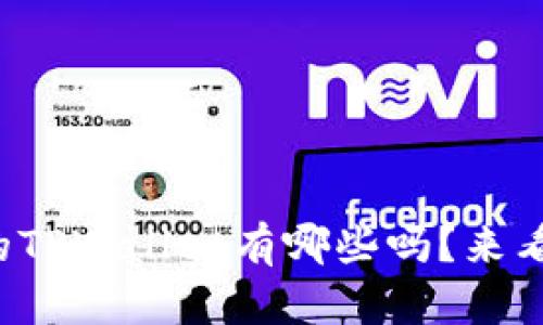 你知道在中国能用的TPWallet有哪些吗？来看看这些热门选项吧！