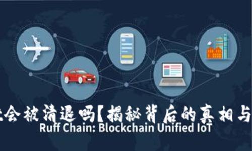 TPWallet会被清退吗？揭秘背后的真相与未来走向