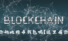 想知道如何查询你的比特币钱包吗？这里有你需